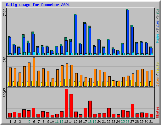 Daily usage for December 2021