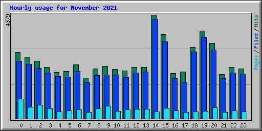 Hourly usage for November 2021