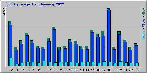 Hourly usage for January 2022